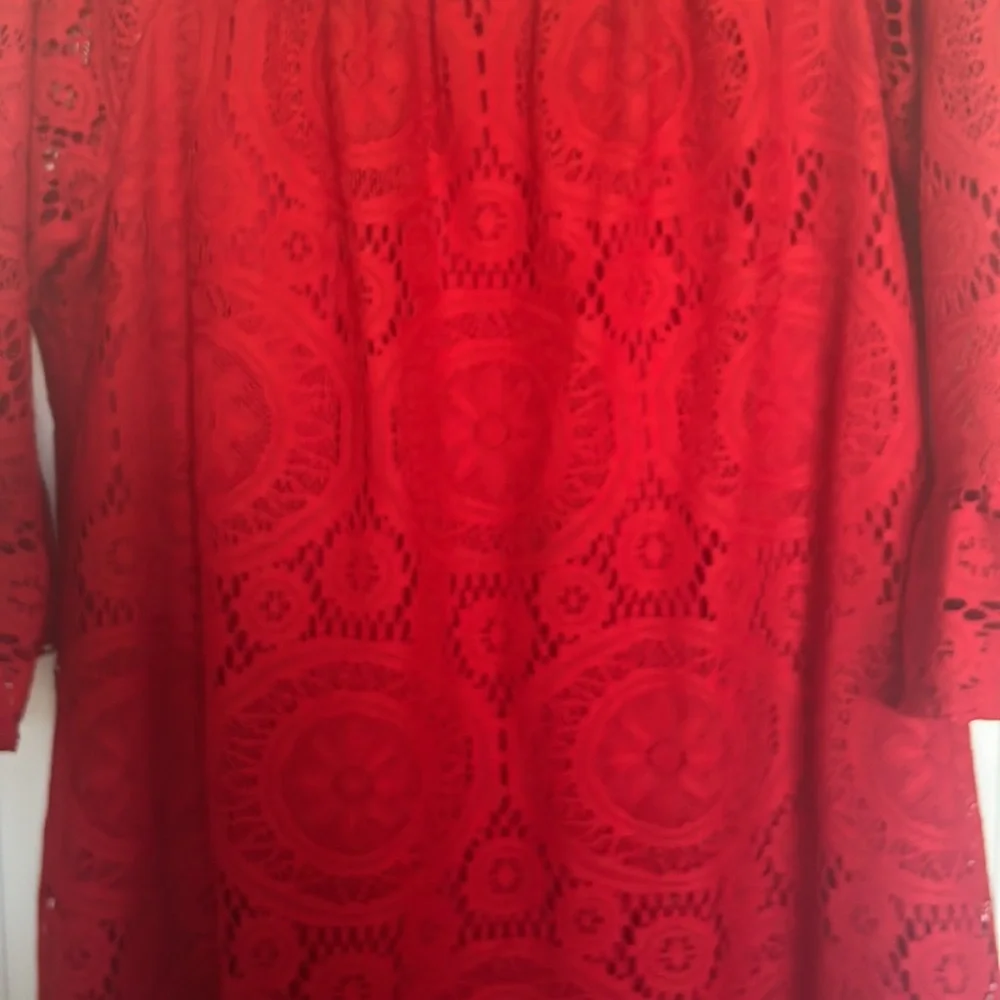 Rabbit Rabbit Rabbit red lace shift dress - Picture 6 of 10